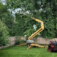 Best Seasonal Cleanup (Spring/Fall)  in Trowbridge Park, MI